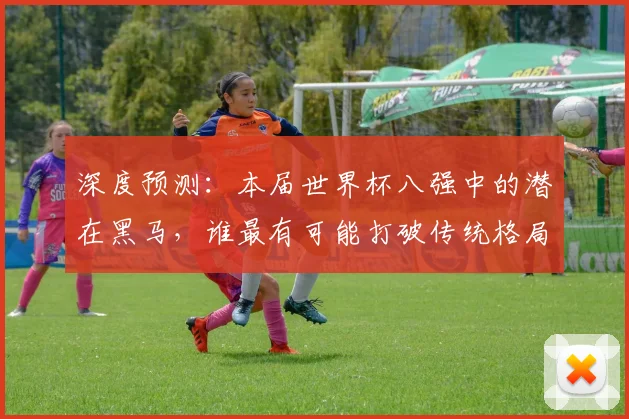 深度预测：本届世界杯八强中的潜在黑马，谁最有可能打破传统格局？